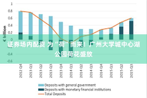 证券场内配资 为“荷”而来！广州大学城中心湖公园荷花盛放