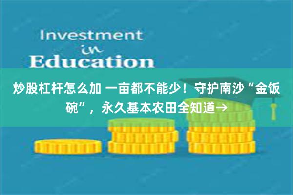 炒股杠杆怎么加 一亩都不能少！守护南沙“金饭碗”，永久基本农田全知道→