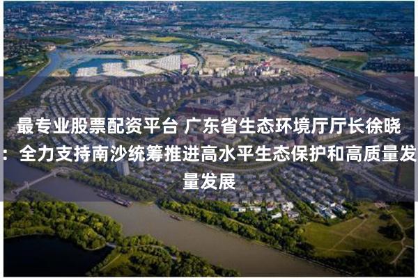 最专业股票配资平台 广东省生态环境厅厅长徐晓霞：全力支持南沙统筹推进高水平生态保护和高质量发展