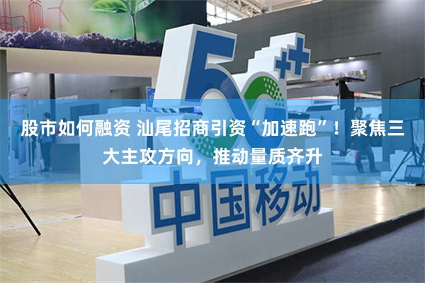 股市如何融资 汕尾招商引资“加速跑”！聚焦三大主攻方向，推动量质齐升