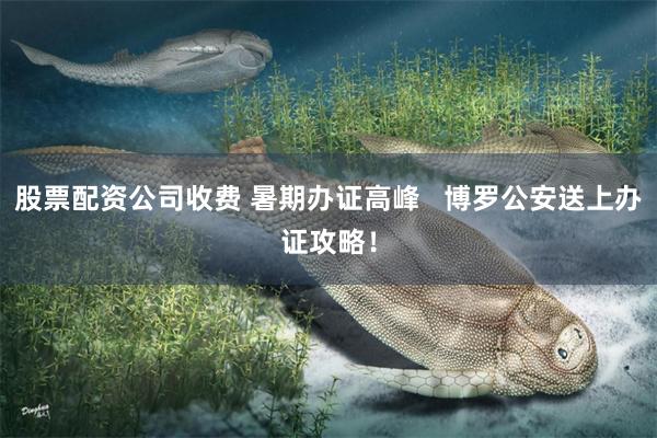 股票配资公司收费 暑期办证高峰   博罗公安送上办证攻略！