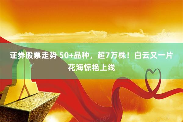 证券股票走势 50+品种，超7万株！白云又一片花海惊艳上线