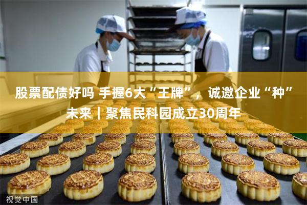 股票配债好吗 手握6大“王牌”,诚邀企业“种”未来|聚焦民科园成立30周年