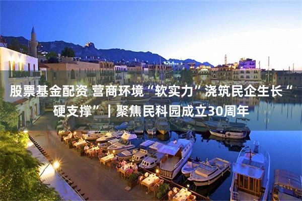 股票基金配资 营商环境“软实力”浇筑民企生长“硬支撑”｜聚焦民科园成立30周年
