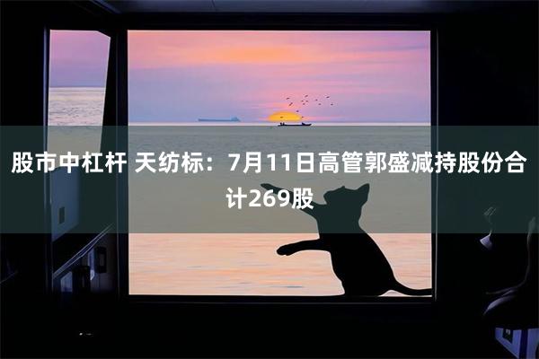 股市中杠杆 天纺标：7月11日高管郭盛减持股份合计269股