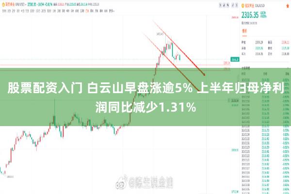 股票配资入门 白云山早盘涨逾5% 上半年归母净利润同比减少1.31%