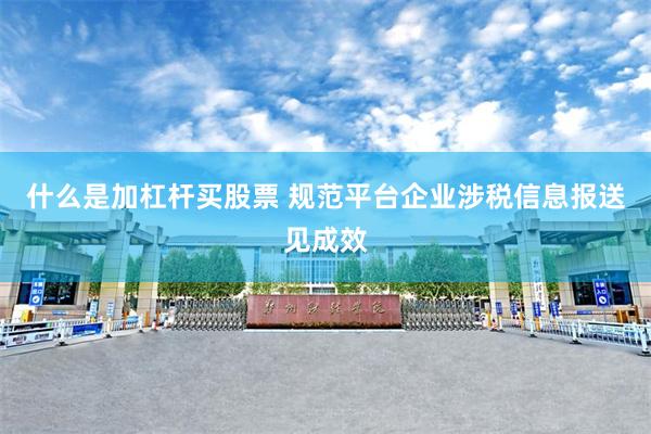 什么是加杠杆买股票 规范平台企业涉税信息报送见成效