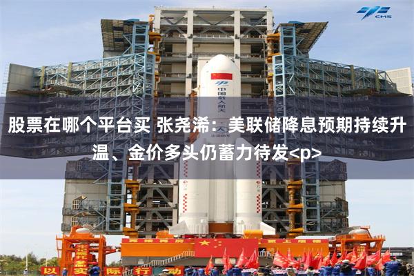 股票在哪个平台买 张尧浠：美联储降息预期持续升温、金价多头仍蓄力待发<p>