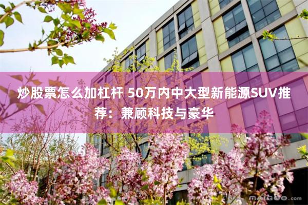 炒股票怎么加杠杆 50万内中大型新能源SUV推荐：兼顾科技与豪华