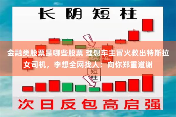 金融类股票是哪些股票 理想车主冒火救出特斯拉女司机,李想全网找人:向你郑重道谢