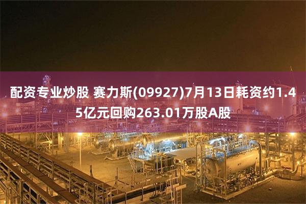 配资专业炒股 赛力斯(09927)7月13日耗资约1.45亿元回购263.01万股A股