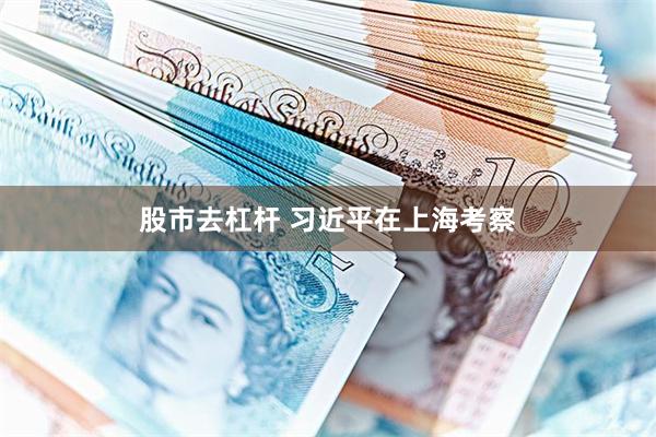 股市去杠杆 习近平在上海考察