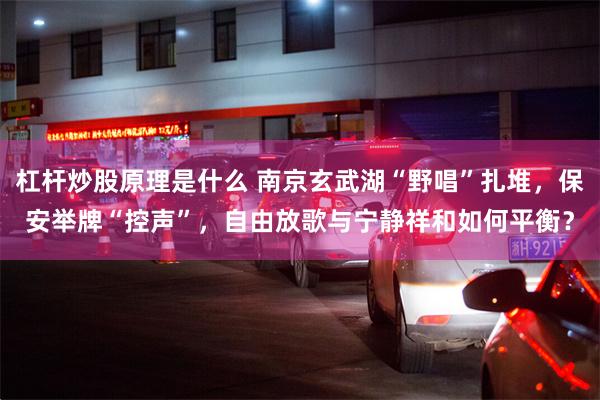 杠杆炒股原理是什么 南京玄武湖“野唱”扎堆，保安举牌“控声”，自由放歌与宁静祥和如何平衡？