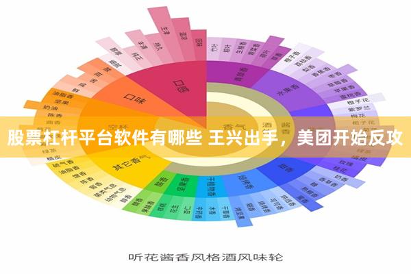 股票杠杆平台软件有哪些 王兴出手，美团开始反攻