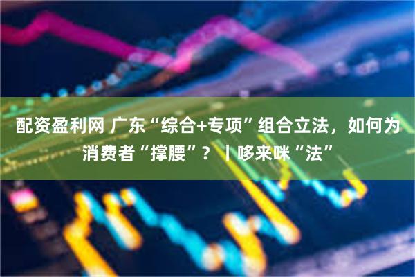 配资盈利网 广东“综合+专项”组合立法，如何为消费者“撑腰”？丨哆来咪“法”