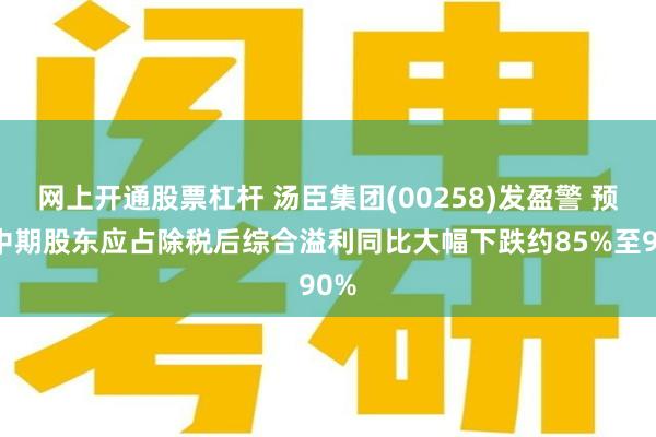 网上开通股票杠杆 汤臣集团(00258)发盈警 预期中期股东应占除税后综合溢利同比大幅下跌约85%至90%