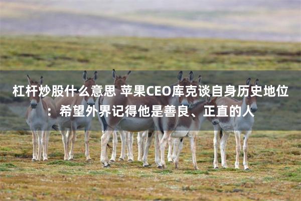 杠杆炒股什么意思 苹果CEO库克谈自身历史地位：希望外界记得他是善良、正直的人