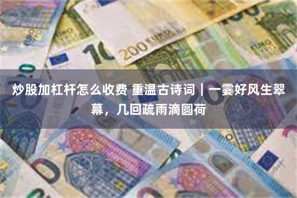 炒股加杠杆怎么收费 重温古诗词｜一霎好风生翠幕，几回疏雨滴圆荷