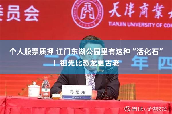 个人股票质押 江门东湖公园里有这种“活化石”！祖先比恐龙更古老