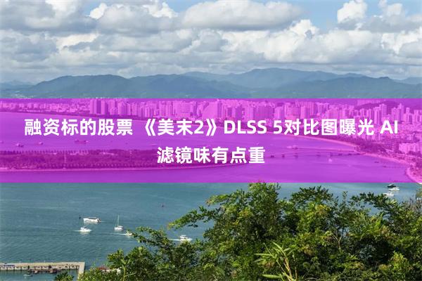 融资标的股票 《美末2》DLSS 5对比图曝光 AI滤镜味有点重