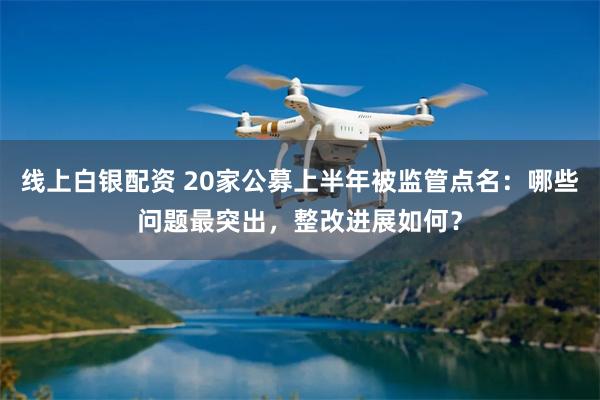 线上白银配资 20家公募上半年被监管点名：哪些问题最突出，整改进展如何？