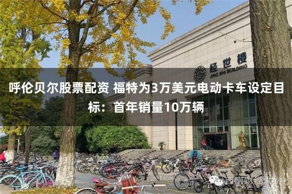 呼伦贝尔股票配资 福特为3万美元电动卡车设定目标：首年销量10万辆