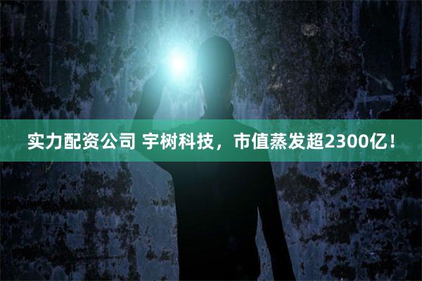 实力配资公司 宇树科技，市值蒸发超2300亿！