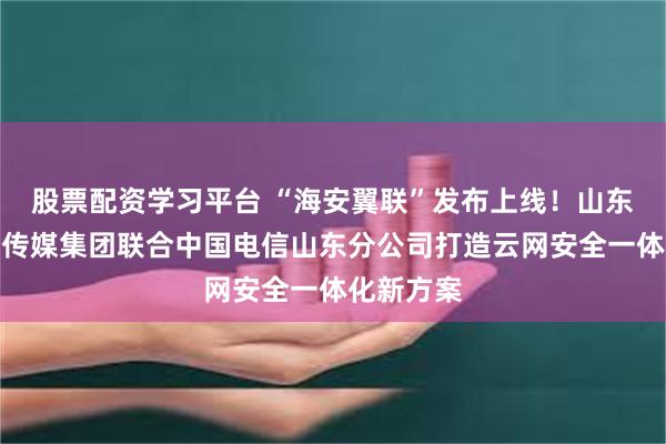 股票配资学习平台 “海安翼联”发布上线！山东省互联网传媒集团联合中国电信山东分公司打造云网安全一体化新方案