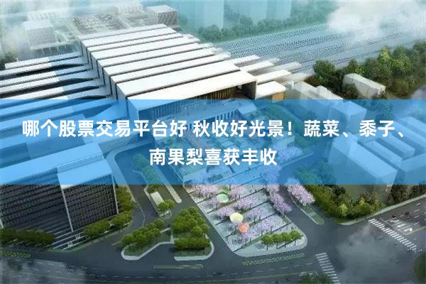 哪个股票交易平台好 秋收好光景！蔬菜、黍子、南果梨喜获丰收