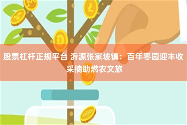 股票杠杆正规平台 沂源张家坡镇：百年枣园迎丰收 采摘助燃农文旅