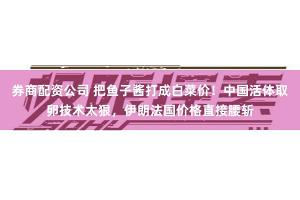 券商配资公司 把鱼子酱打成白菜价！中国活体取卵技术太狠，伊朗法国价格直接腰斩