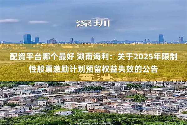 配资平台哪个最好 湖南海利：关于2025年限制性股票激励计划预留权益失效的公告