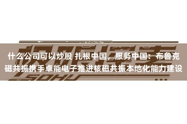 什么公司可以炒股 扎根中国，服务中国：布鲁克磁共振携手卓能电子推进核磁共振本地化能力建设