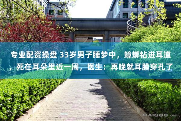 专业配资操盘 33岁男子睡梦中，蟑螂钻进耳道，死在耳朵里近一周，医生：再晚就耳膜穿孔了